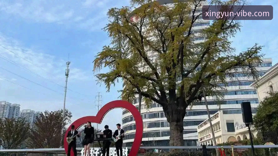 杏运体育安卓版 杏运体育安卓版下载安装实用指南:2025版本新手上手指南