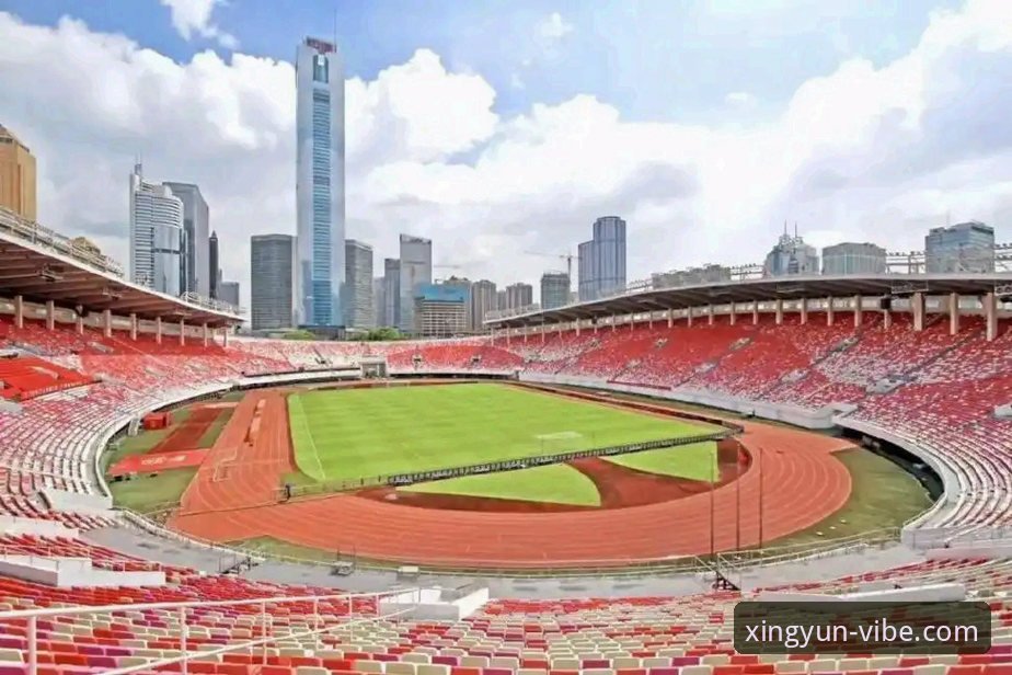 杏运体育平台功能详解最新动态：2025版本带来的七大核心升级与深度体验分享